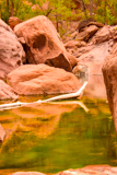 Pine Creek Canyon