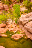 Pine Creek Canyon