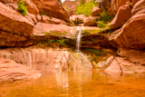 Pine Creek Canyon