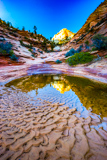 Many Pools Trail