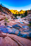 Many Pools Trail