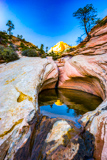 Many Pools Trail