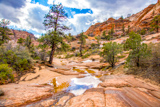 Many Pools Trail