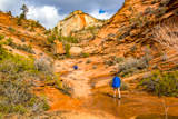 Many Pools Trail
