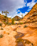Many Pools Trail