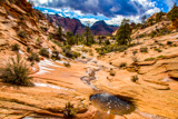 Many Pools Trail