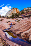 Many Pools Trail