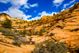 Many Pools Trail