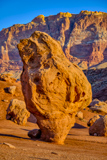 Old Cliff Dwellers House