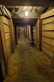 Ponderosa Mine Tour