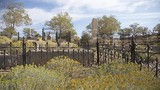 Silver Terrace Cemetery