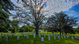 Arlington National Cemetery