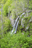 Lewis Falls