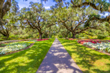 Brookgreen Gardens
