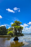 Waccamaw National Wildlife Refuge