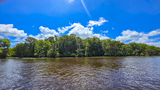 Waccamaw National Wildlife Refuge