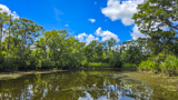 Waccamaw National Wildlife Refuge