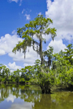 Waccamaw National Wildlife Refuge