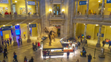National Museum of Natural History