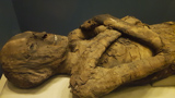 National Museum of Natural History