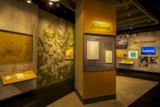 David M. Rubenstein Gallery