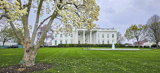 The White House