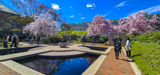 Moongate Garden