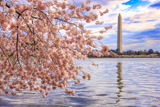 Photos/Images de Washington DC, National Mall, secteur Ouest : mémoriaux