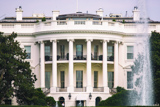 The White House