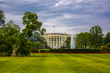 The White House
