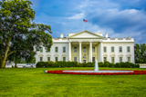 Photos/Images de Washington DC, National Mall, secteur Centre : White House et Washington Monument