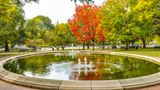 Lafayette Square