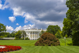 The White House