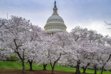 U.S. Capitol Grounds