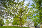 U.S. Capitol Grounds