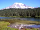 Mount Rainier National Park
