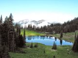 Photos/Images de Mount Rainier National Park Photos/Images de Mount Rainier National Park