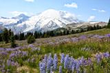 Mount Rainier National Park