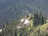 Hurricane Ridge