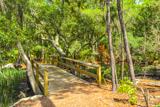 Wormsloe Historic Site Trail