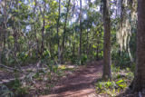Wormsloe Historic Site Trail