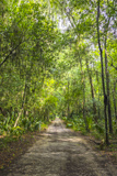 Wormsloe Historic Site Trail