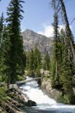 Cascade Canyon