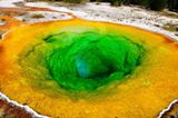 Morning Glory Pool