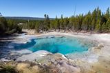 Photos/Images de Yellowstone National Park - Norris Area Photos/Images de Yellowstone National Park - Norris Area