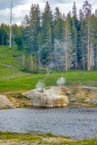Riverside Geyser
