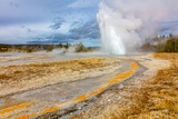 Daisy Geyser