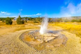 Tardy Geyser