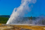 Daisy Geyser