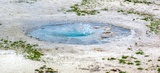 Twig Geyser